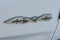2020 RAM 1500 Big Horn 4x4 Crew Cab 5'7" Box