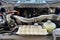 2024 Ford F-150 XLT 4WD SuperCrew 5.5' Box
