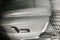 2020 Audi Q5 Premium Plus 55 TFSI e quattro
