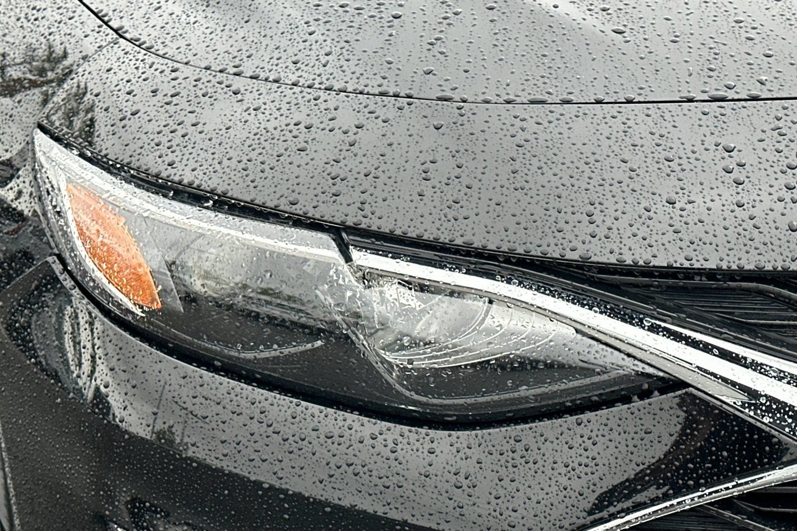 2022 Chevrolet Malibu FL