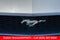 2006 Ford Mustang V6