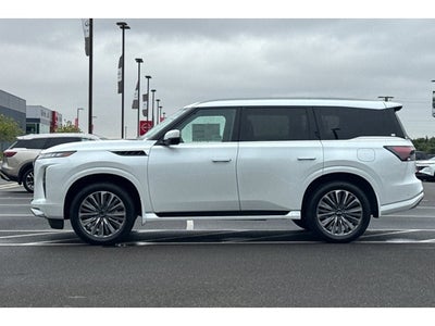 2026 INFINITI QX80 Luxe 2WD