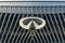 2025 INFINITI QX80 Autograph 4WD