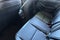 2026 Acura Integra A-Spec with Technology