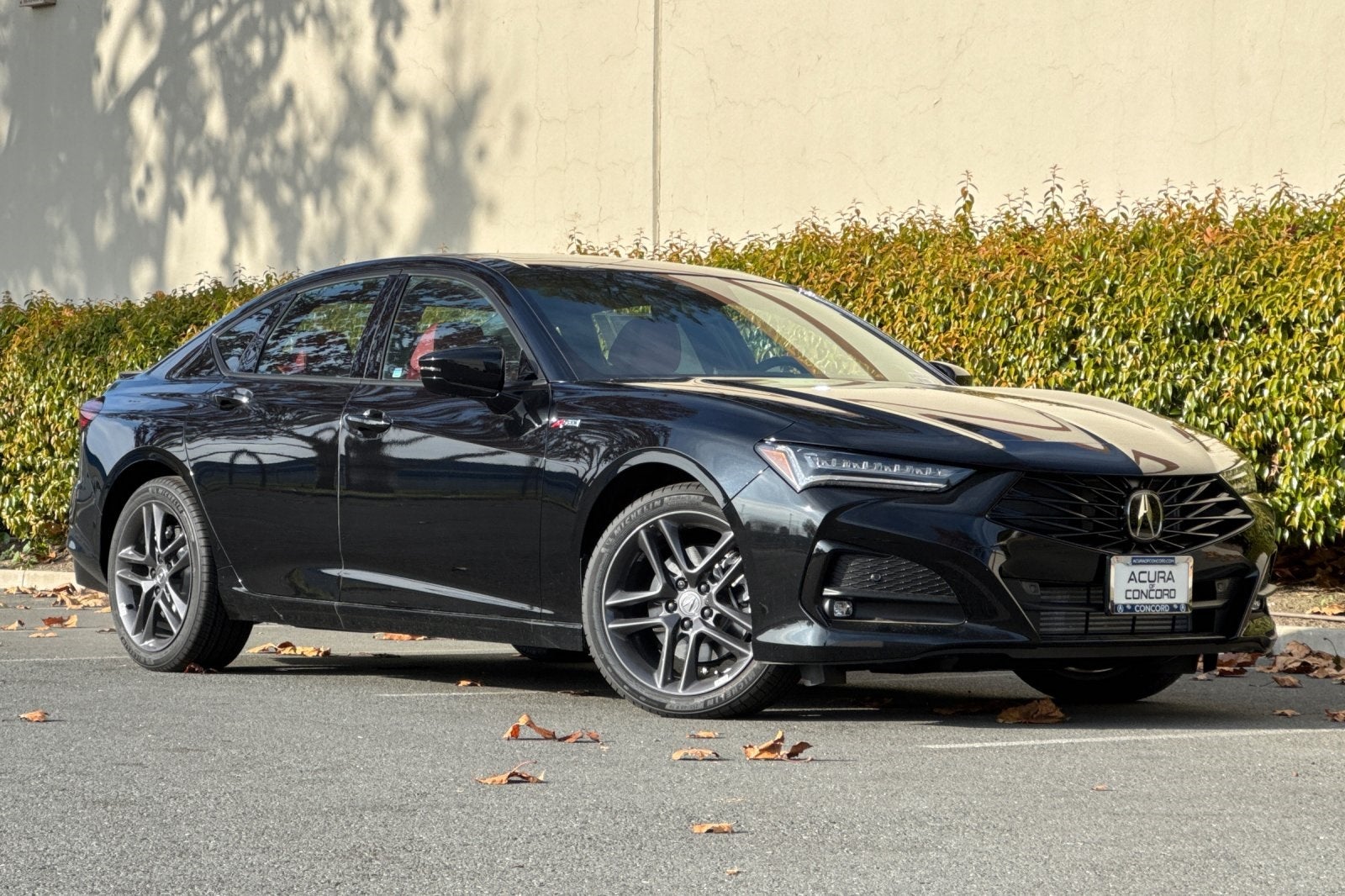2025 Acura TLX A-Spec
