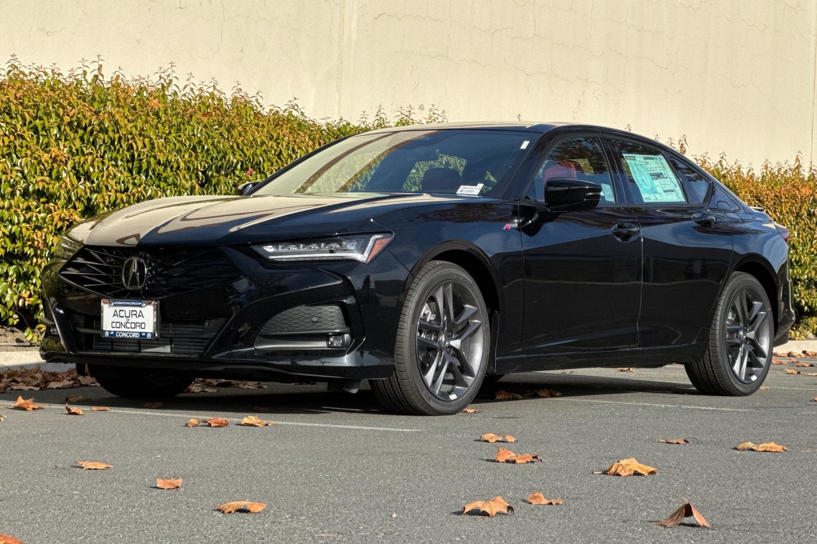 2025 Acura TLX A-Spec