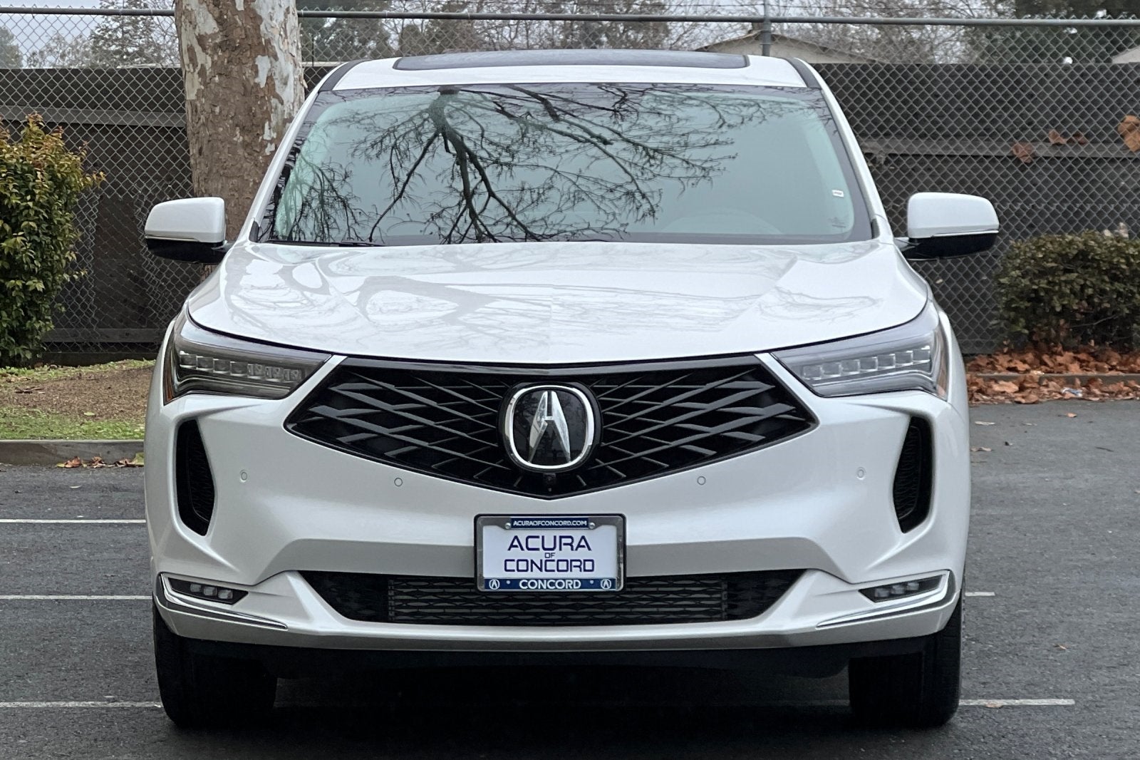 2025 Acura RDX with Advance Package