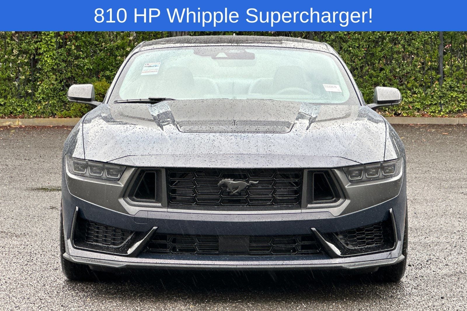 2026 Ford Mustang Dark Horse