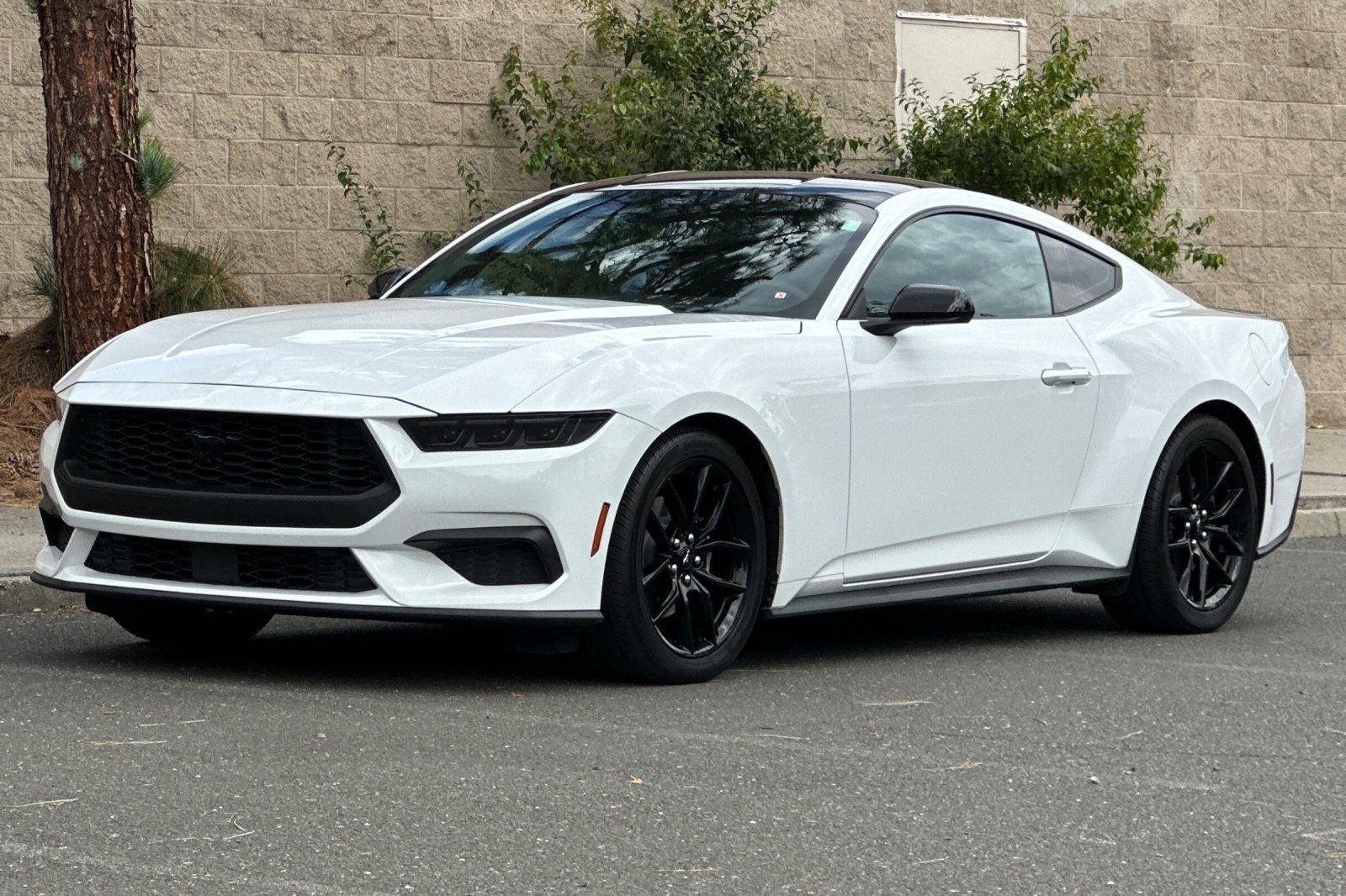 2024 Ford Mustang EcoBoost