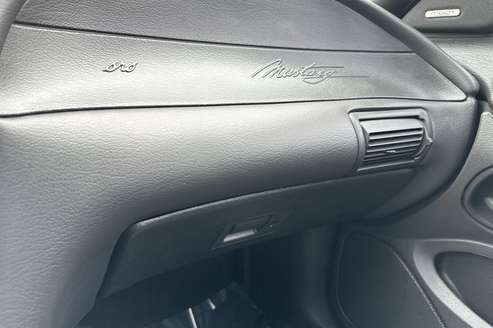 2004 Ford Mustang Mach 1 Premium