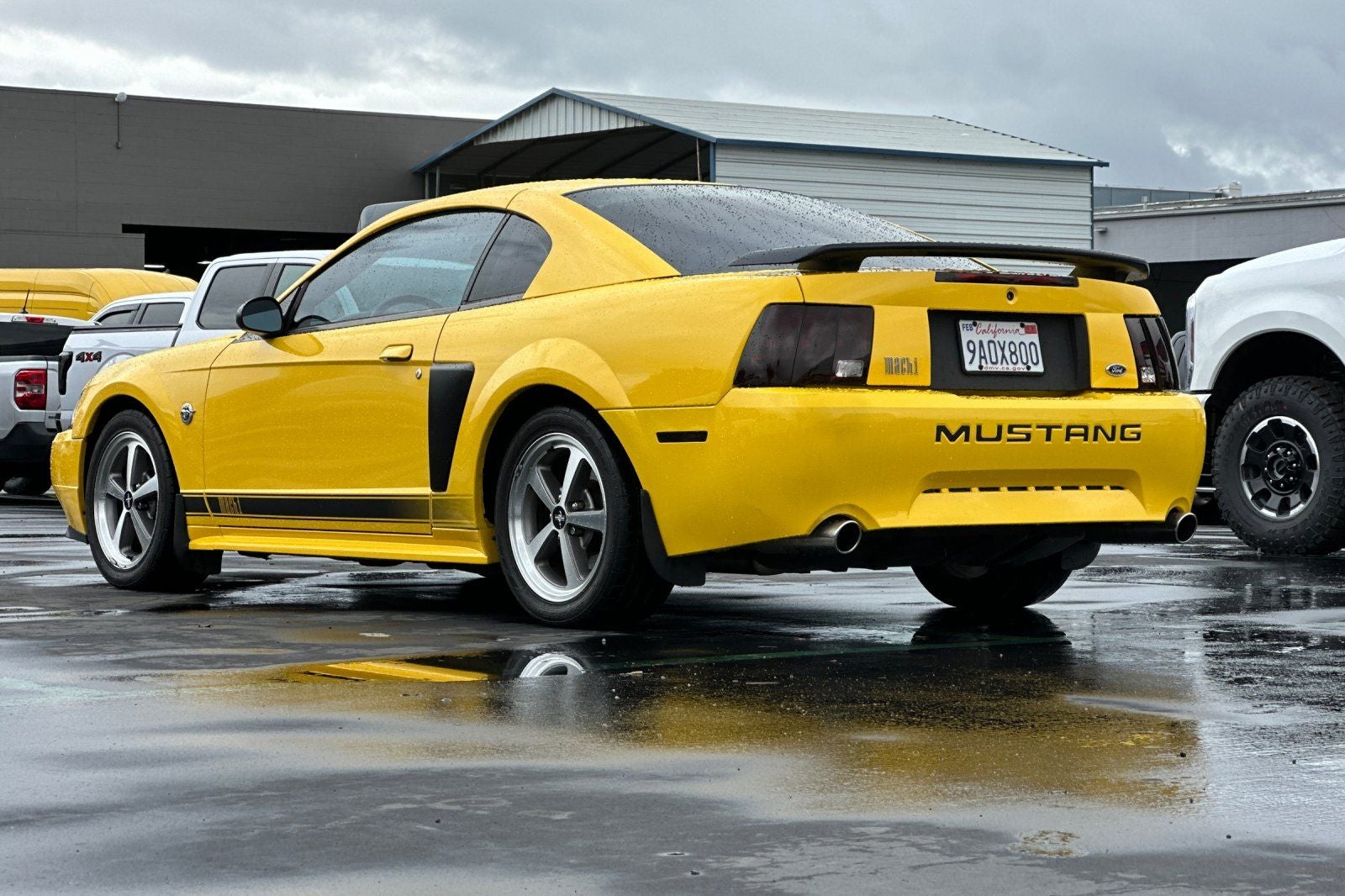 2004 Ford Mustang Mach 1 Premium