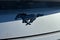 2026 Ford Mustang EcoBoost® Premium Convertible