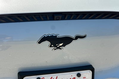 2023 Ford Mustang Mach-E California Route 1