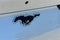 2023 Ford Mustang Mach-E California Route 1